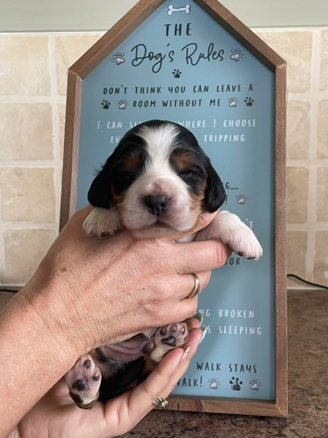 Max