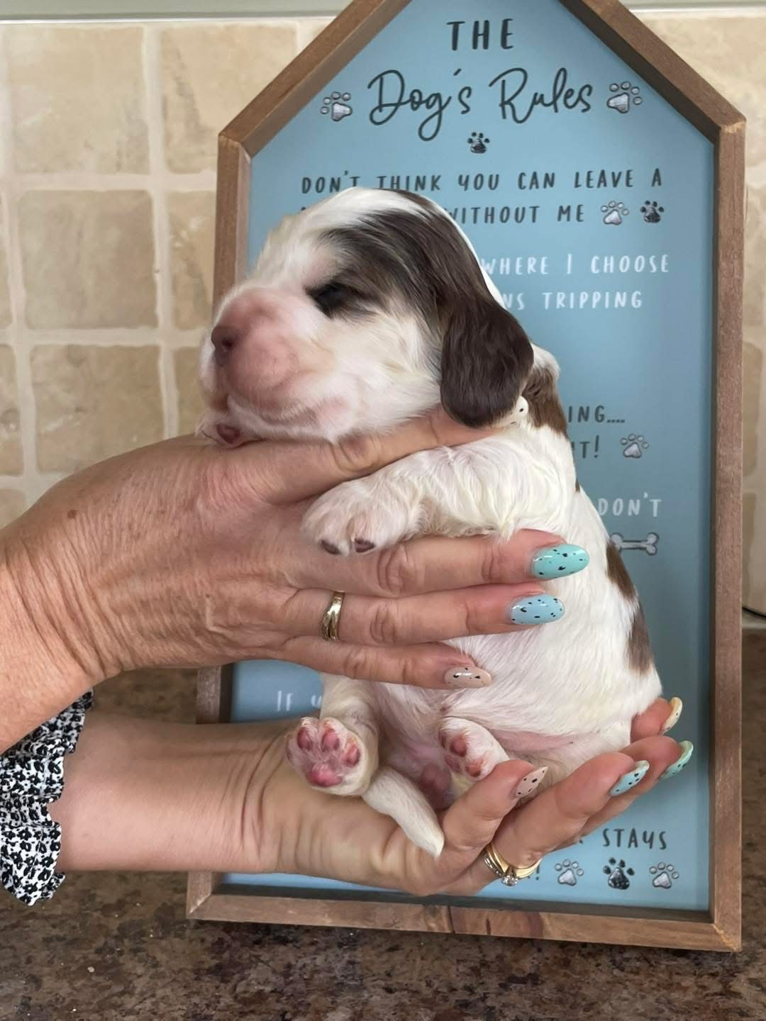 Lulu