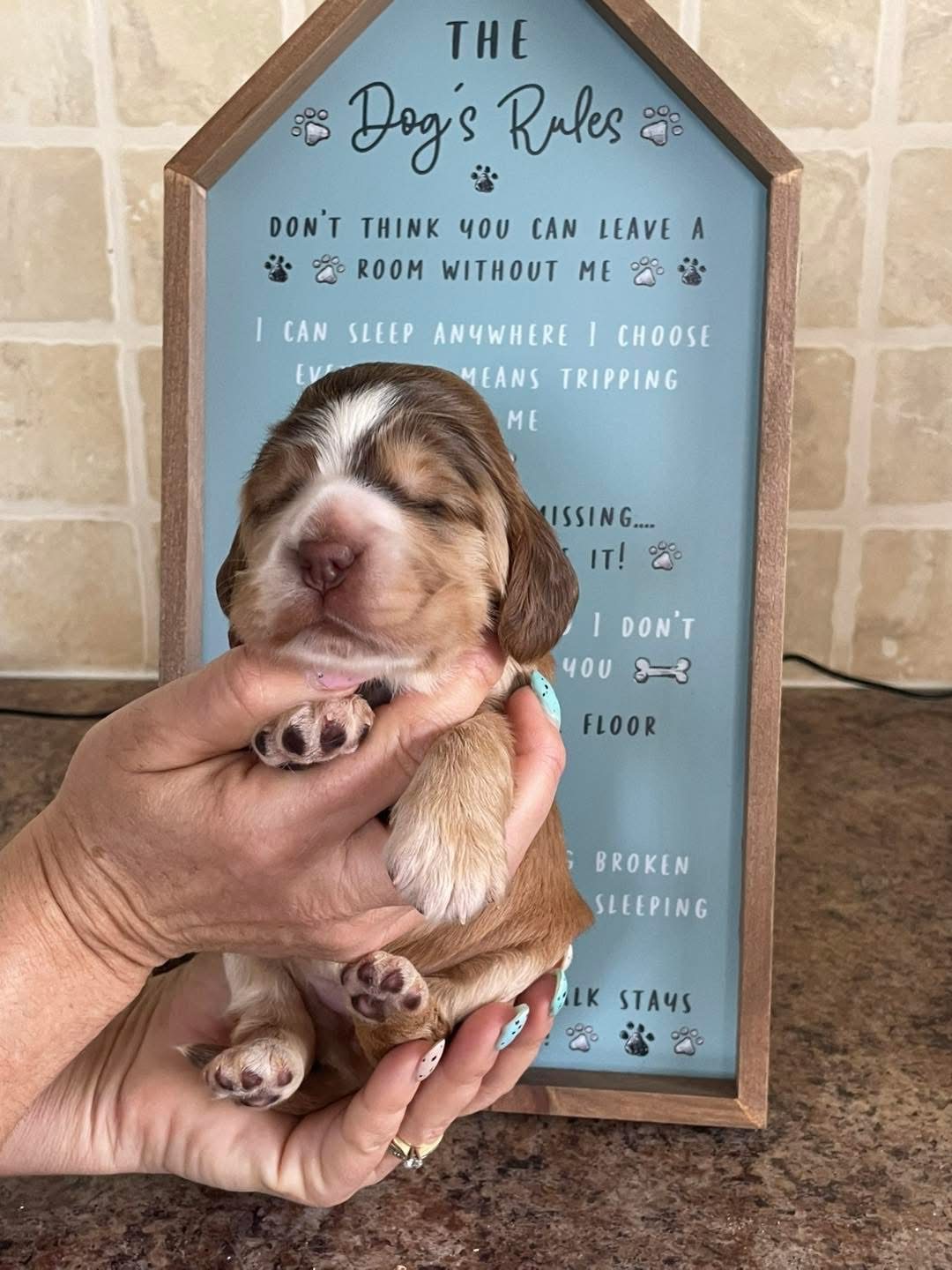 Rosie