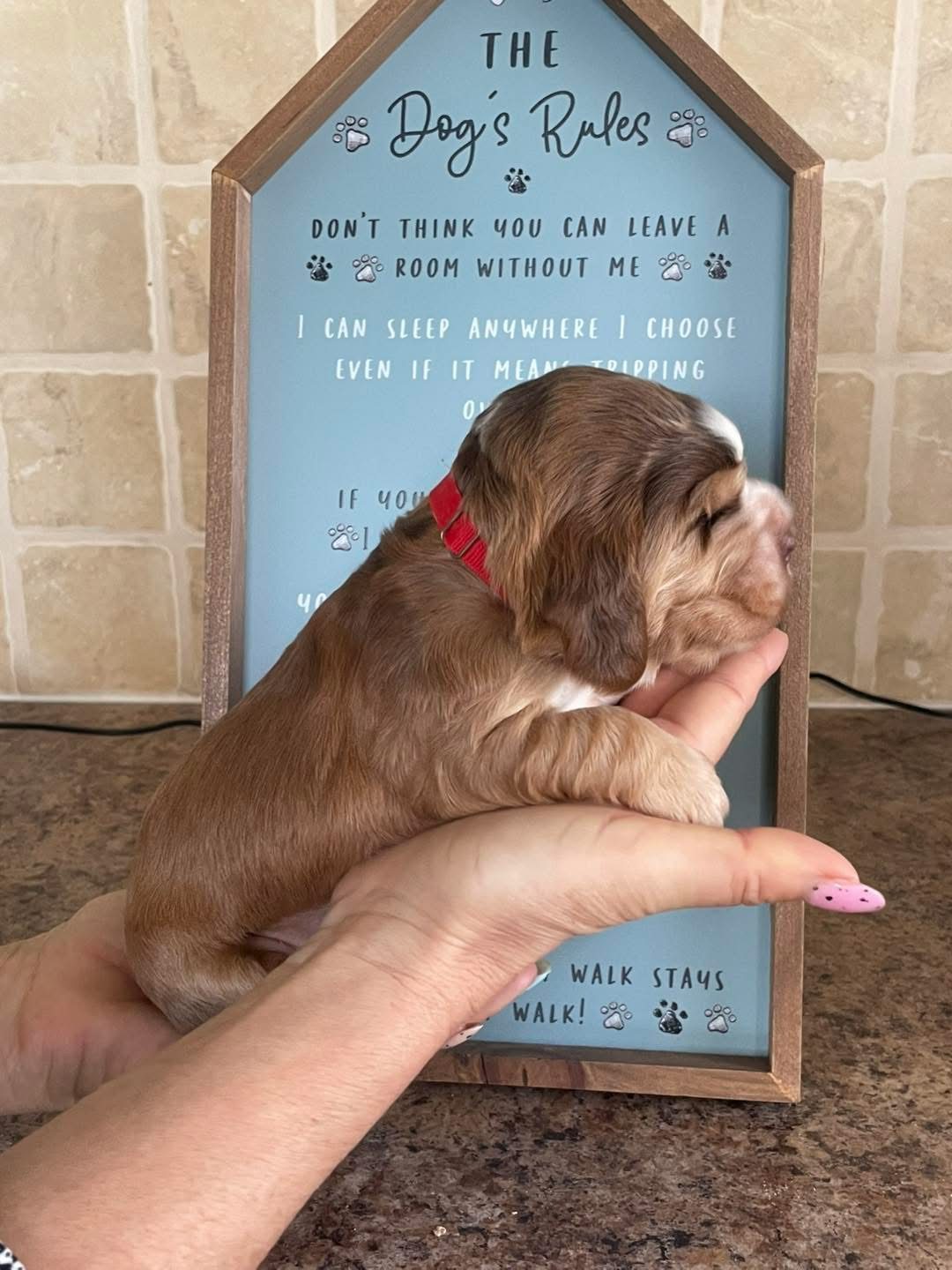 Rosie