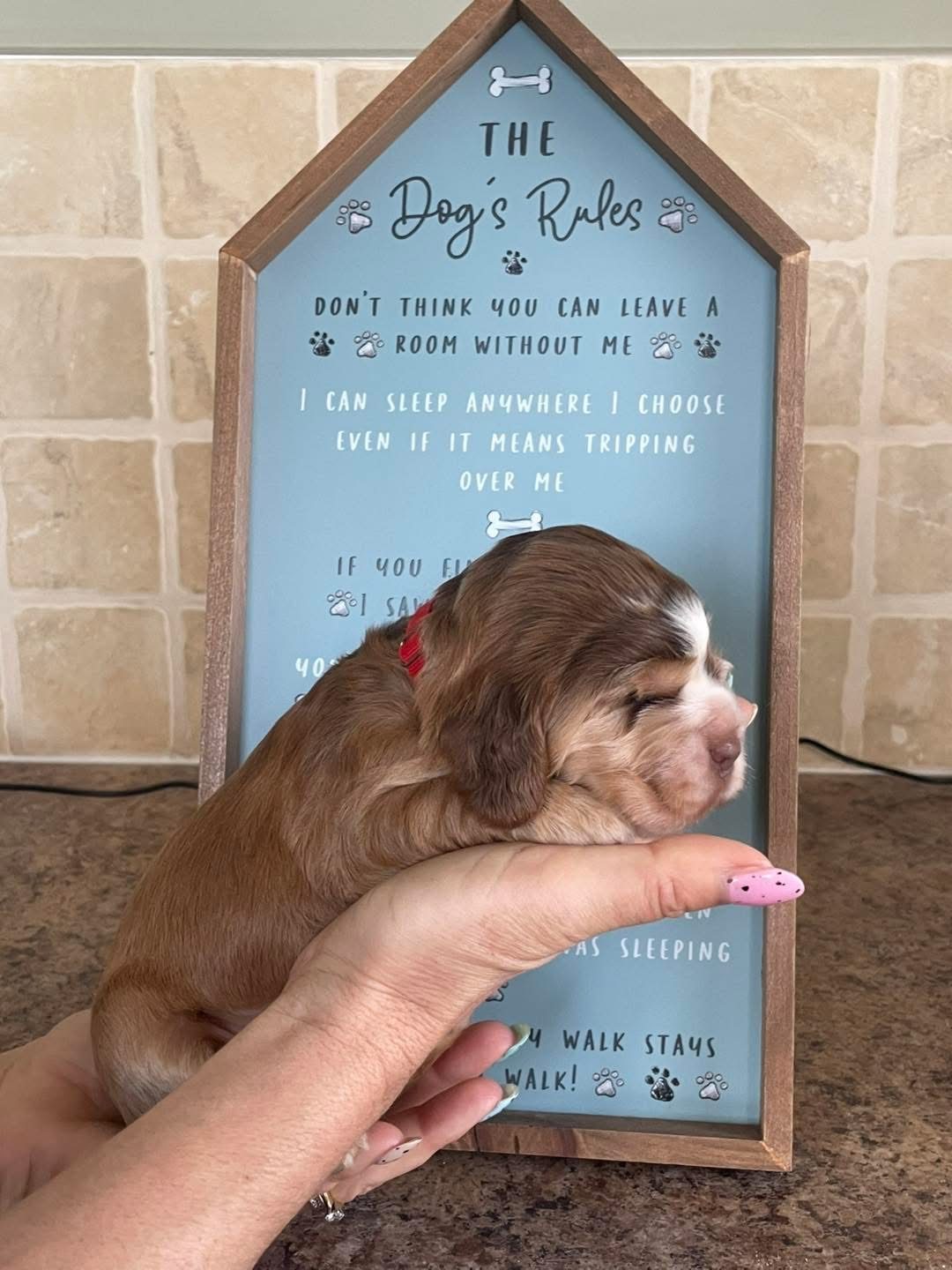 Rosie
