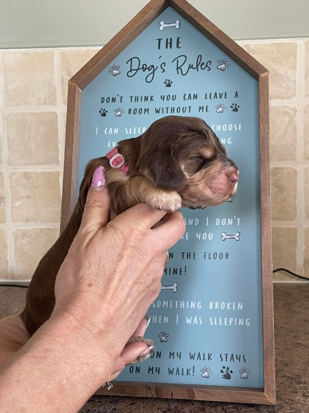 Duke