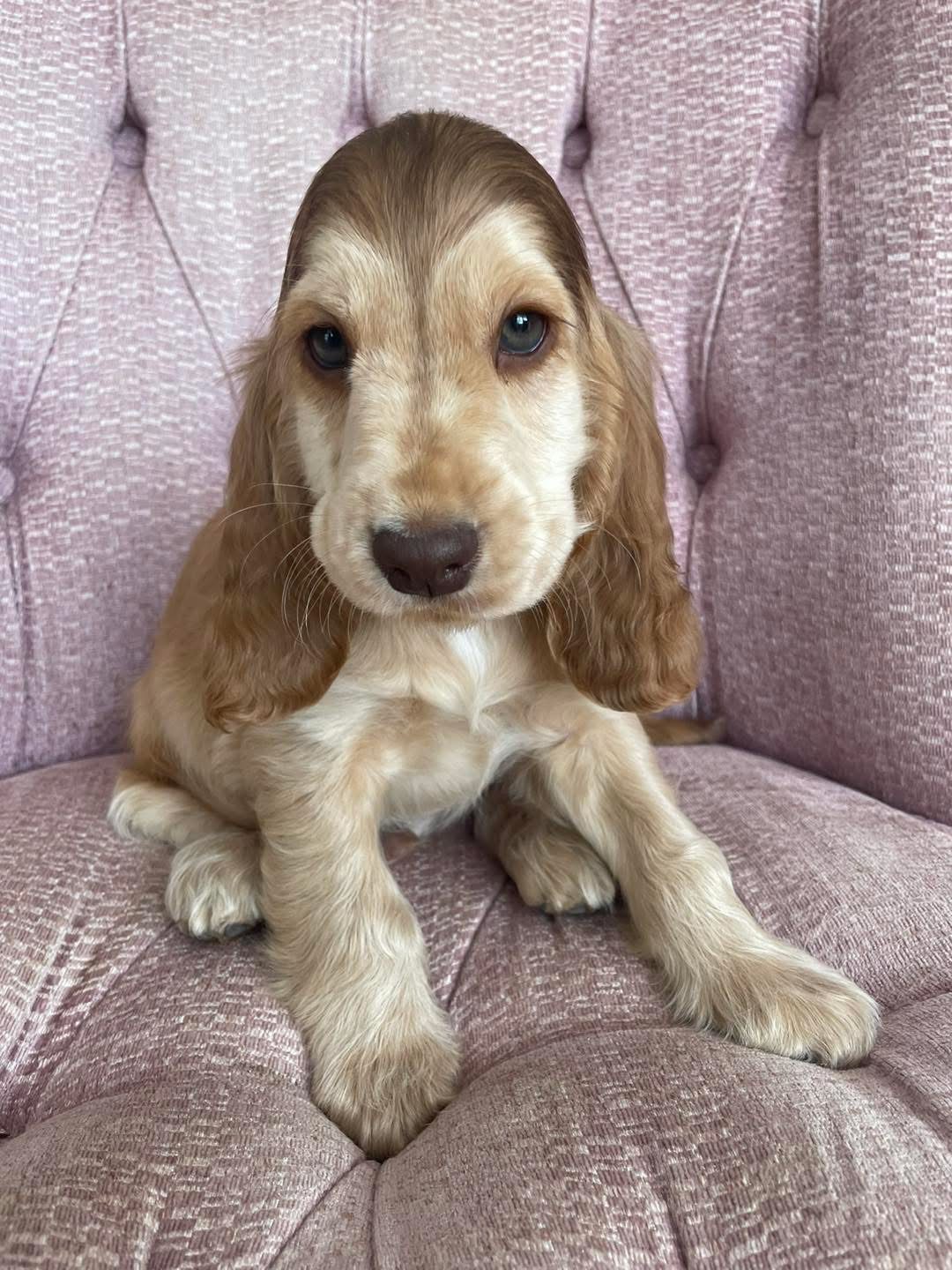 Murphy