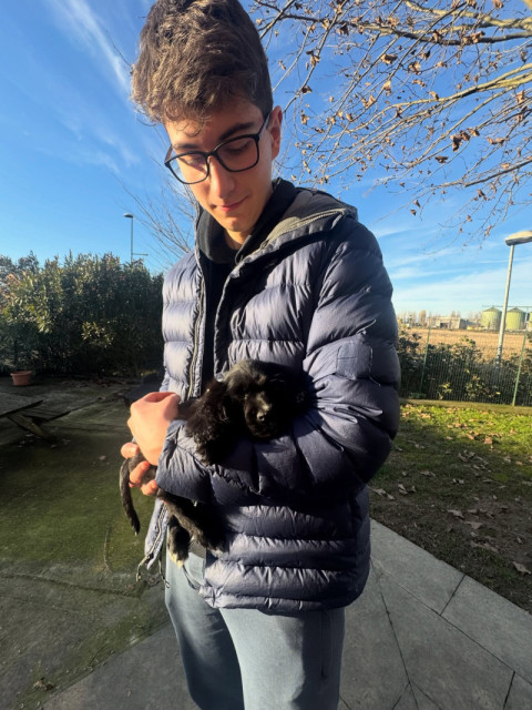 Chris Davis's puppy