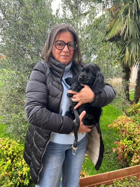 Elle Morris's puppy