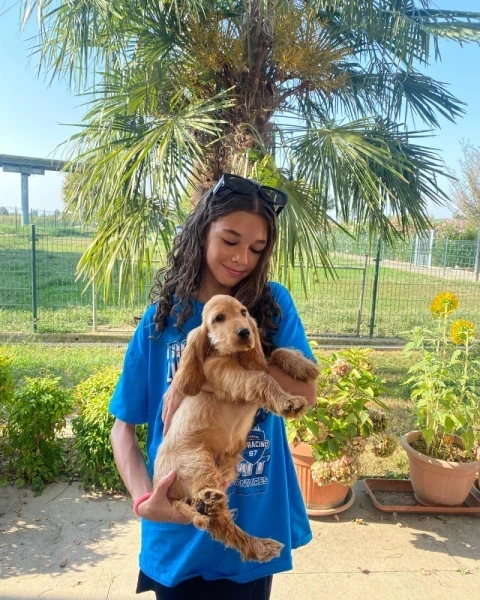 Sami Steeden's puppy