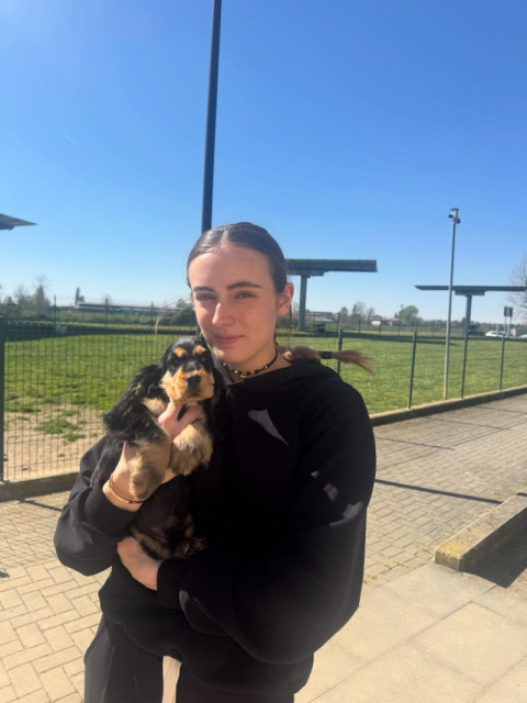 Emily Kaufman's puppy