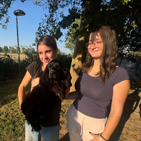 Andrea Lamas's puppy